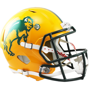 North Dakota State Bison Replica Speed - Image 2