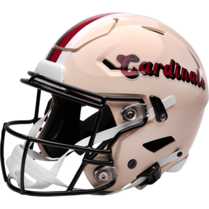 Arizona Cardinals Retro Authentic SpeedFlex - Image 8